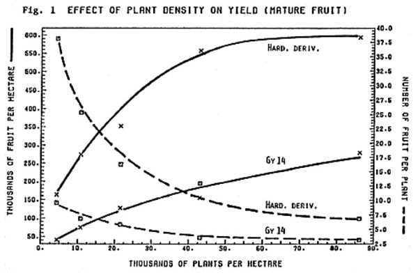line chart thousands of Fruit per Hectare on y axis ; ?Thousands of Plants per Hedtare on x axis