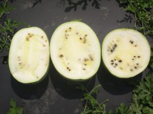 melon halfs