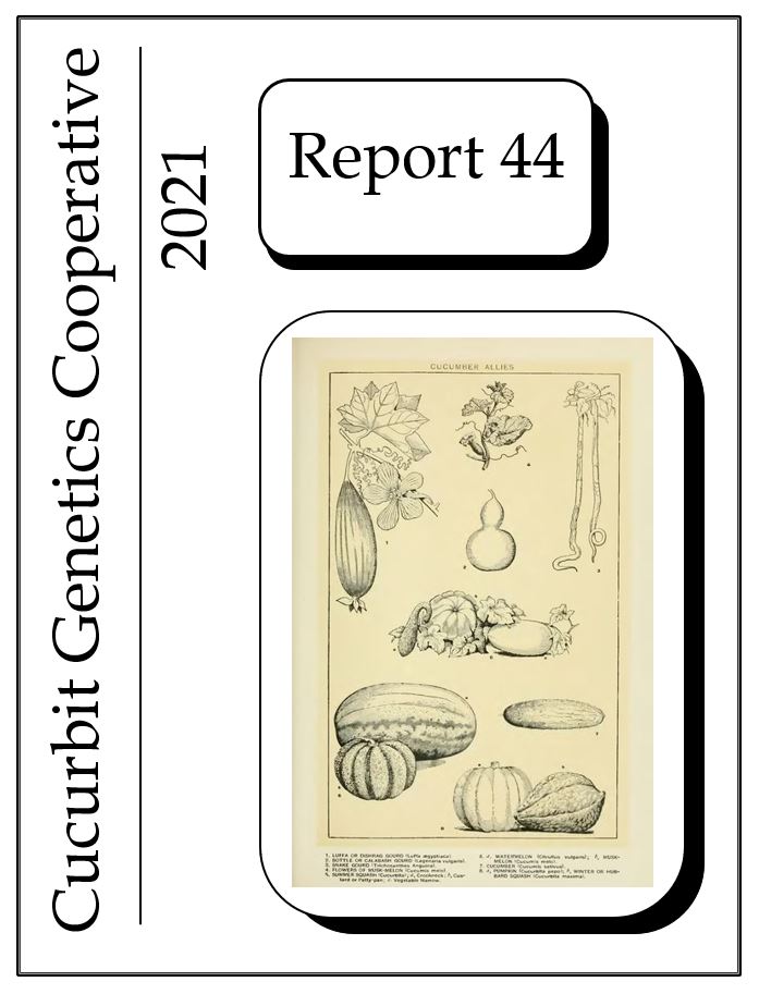 report booklet cover